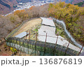 鬼怒川温泉ロープウェイの山頂のおさるの山 136876819
