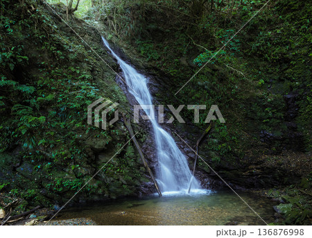 安念勝の滝 - 奄美大島 136876998