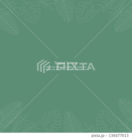 トロピカルリーフフレーム グリーン 正方形 白線 136877013