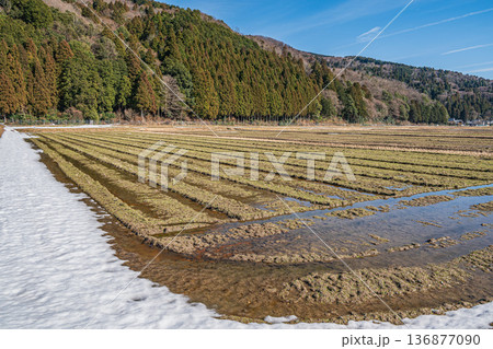 浅春のマキノ町の田園風景 滋賀県高島市 浅春のマキノ町の田園風景 滋賀県高島市 136877090