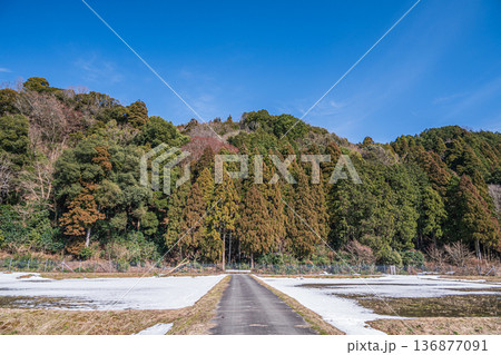 浅春のマキノ町の田園風景 滋賀県高島市 浅春のマキノ町の田園風景 滋賀県高島市 136877091