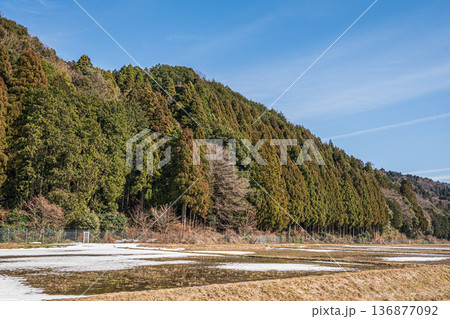 浅春のマキノ町の田園風景　滋賀県高島市 136877092
