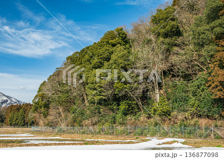 奥琵琶湖の里山風景 滋賀県高島市マキノ町 奥琵琶湖の里山風景 滋賀県高島市マキノ町 136877098