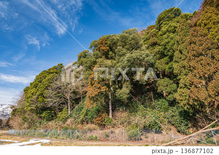 奥琵琶湖の里山風景　滋賀県高島市マキノ町 136877102