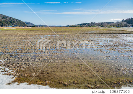 浅春のマキノ町の田園風景　滋賀県高島市 136877106