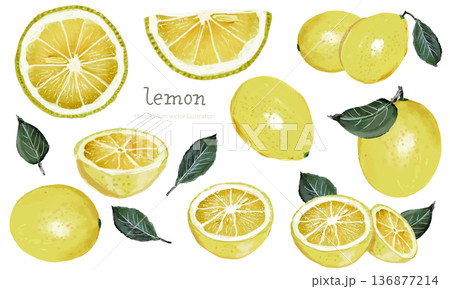 フレッシュなレモンの水彩素材セット フレッシュなレモンの水彩素材セット 136877214