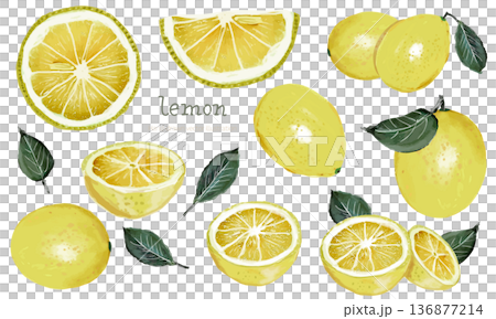 フレッシュなレモンの水彩素材セット フレッシュなレモンの水彩素材セット 136877214