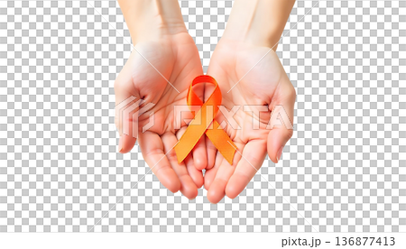 Hands holding an orange ribbon on a transparent background, symbolizing support for leukemia and blood cancer awareness Hands holding an orange ribbon on a transparent background, symbolizing support for leukemia and blood cancer awareness 136877413