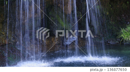 深い森の静かなる滝 136877650