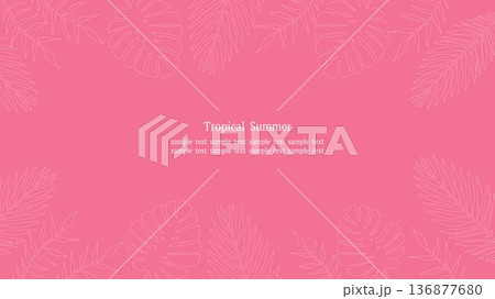 トロピカルリーフフレーム ピンク 16:9横長 白線 136877680