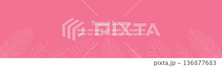 トロピカルリーフフレーム ピンク ワイドWebバナー 白線 136877683