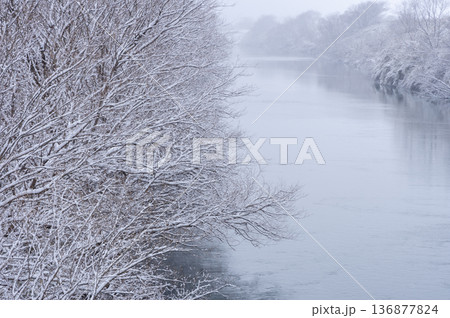 しんしんと雪が降る冬の川辺と雪化粧した木々 しんしんと雪が降る冬の川辺と雪化粧した木々 136877824
