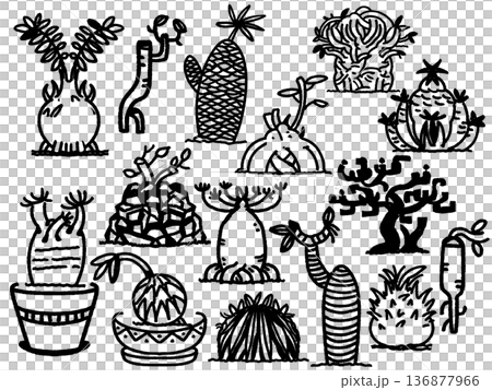 Image of tuberous plants 136877966
