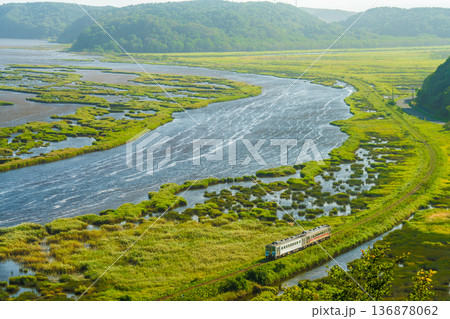 夏の別寒辺牛湿原を走る花咲線の列車 136878062