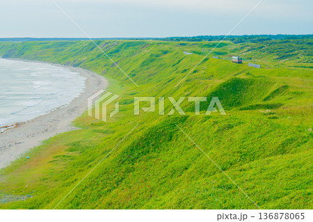夏の落石海岸(根室)を走る花咲線の列車 136878065