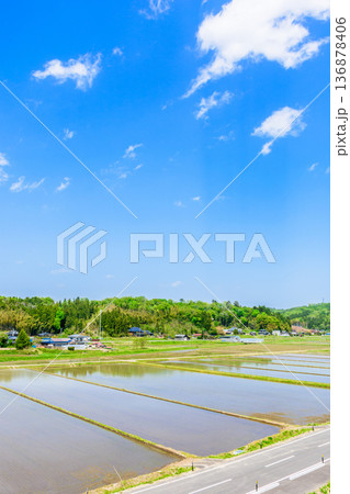 宮城 田植え直後の風景 宮城 田植え直後の風景 136878406