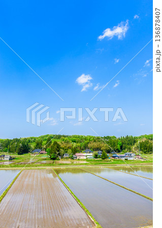 宮城 田植え直後の風景 宮城 田植え直後の風景 136878407