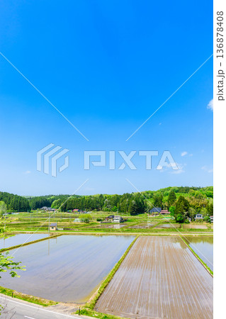 宮城　田植え直後の風景 136878408