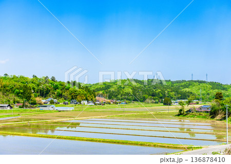 宮城 田植え直後の風景 宮城 田植え直後の風景 136878410