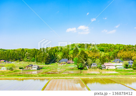 宮城　田植え直後の風景 136878412