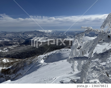 Snow-covered mountain ridge and icy trees overlooking a vast winter landscape under blue sky Snow-covered mountain ridge and icy trees overlooking a vast winter landscape under blue sky 136878611