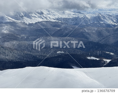 Snow-covered mountain landscape with layered winter forest and cloudy alpine peaks 136878709