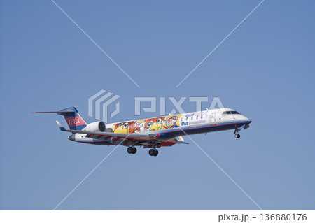 冬の仙台空港 着陸中の飛行機 宮城県名取市 冬の仙台空港 着陸中の飛行機 宮城県名取市 136880176
