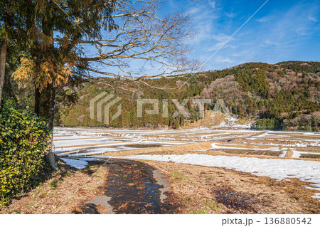 浅春のマキノ町の田園風景　滋賀県高島市 136880542