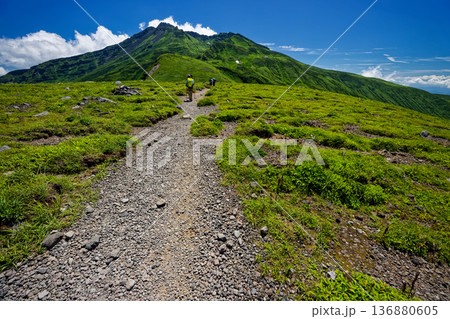 鳥海山・御田ヶ原の登山道と新山山頂の眺め 鳥海山・御田ヶ原の登山道と新山山頂の眺め 136880605