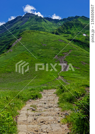 鳥海山・八丁坂と新山山頂の眺め 鳥海山・八丁坂と新山山頂の眺め 136880607