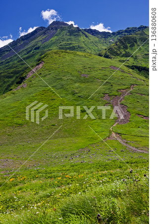 鳥海山・八丁坂からの新山山頂の眺め 鳥海山・八丁坂からの新山山頂の眺め 136880608