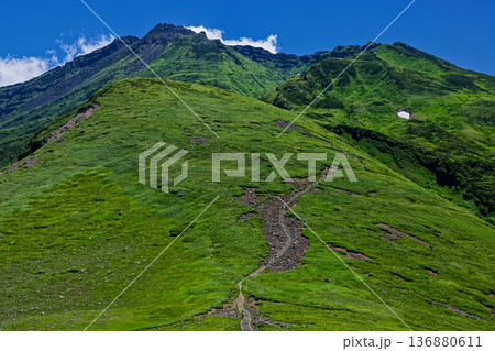 鳥海山・八丁坂からの新山山頂の眺め 鳥海山・八丁坂からの新山山頂の眺め 136880611