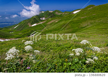 鳥海山への登りの高山植物と笙ヶ岳への稜線 136880620
