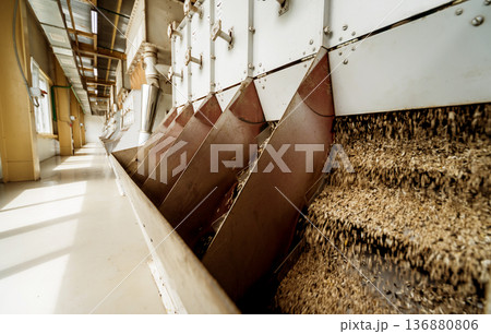 Interior of modern natural oil factory. The piping, pumps and motors Interior of modern natural oil factory. The piping, pumps and motors 136880806