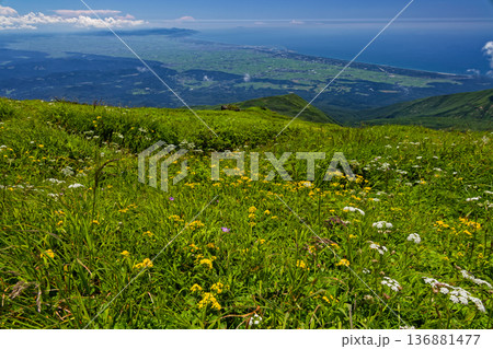 鳥海山・外輪山の花畑と庄内平野・日本海の眺め 136881477