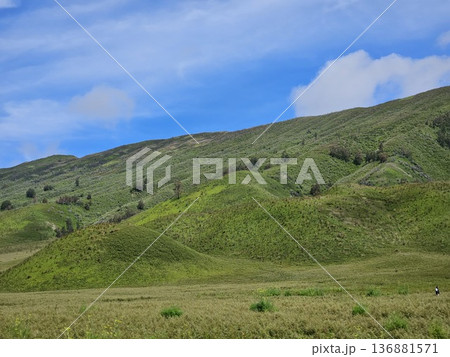 This is natural park at Bromo Mountain  136881571
