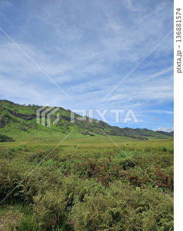 This is natural park at Bromo Mountain This is natural park at Bromo Mountain 136881574