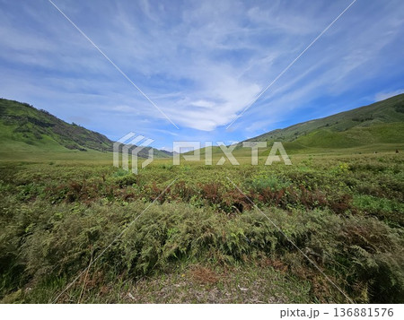 This is natural park at Bromo Mountain This is natural park at Bromo Mountain 136881576
