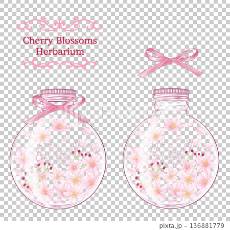 Cherry blossom herbarium in a round bottle 136881779