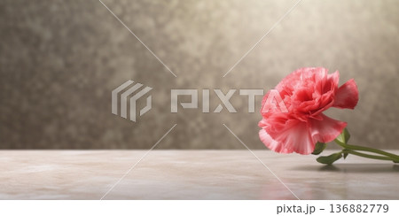 Carnation flower copy space blurred background, AI Generated 136882779