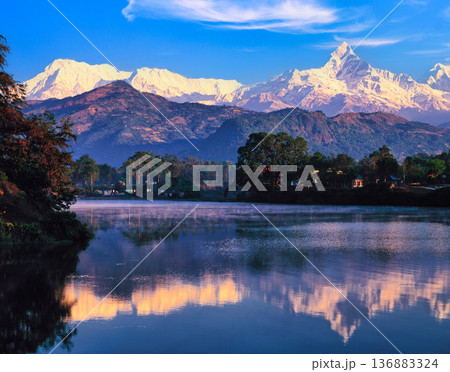 ポカラよりアンナプルナ連山の絶景 ポカラよりアンナプルナ連山の絶景 136883324