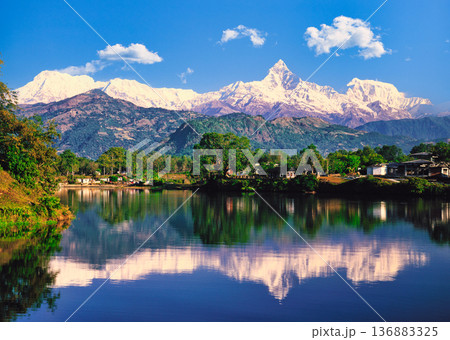 ポカラよりアンナプルナ連山の絶景 ポカラよりアンナプルナ連山の絶景 136883325
