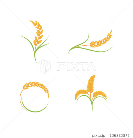 Wheat Logo icon Wheat Logo icon 136883872