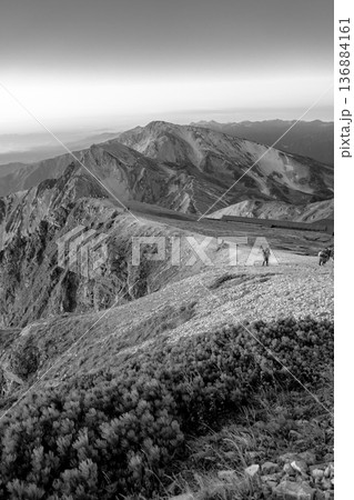 白馬岳から見る早朝の白馬鑓ヶ岳と杓子岳　北アルプス白馬岳～雪倉岳縦走登山（新聞、雑誌用） 136884161