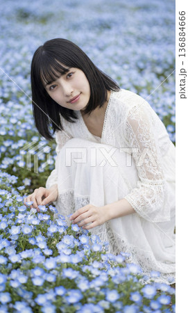 ネモフィラの花畑の中でしゃがみ花を優しく触る白いワンピースの女性 136884666