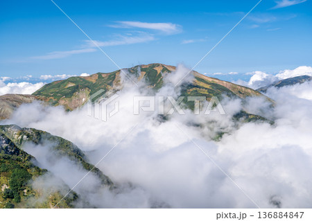 雪倉岳と雲海　白馬大池～北アルプス白馬岳縦走登山 136884847