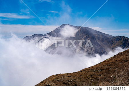 小蓮華山から見上げる白馬岳と雲海　白馬大池～北アルプス白馬岳縦走登山 136884851