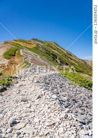 小蓮華山と紅葉 白馬大池~北アルプス白馬岳縦走登山 小蓮華山と紅葉 白馬大池~北アルプス白馬岳縦走登山 136884852