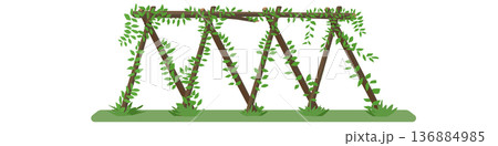 Rustic wooden trellis in a garden built with natural branches in an A frame style. Green leafy vines climb and wrap around the structure creating a lush organic vibe. Rustic wooden trellis in a garden built with natural branches in an A frame style. Green leafy vines climb and wrap around the structure creating a lush organic vibe. 136884985