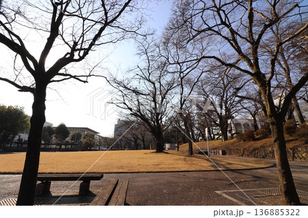 姉妹都市公園（群馬県高崎市高松町） 136885322